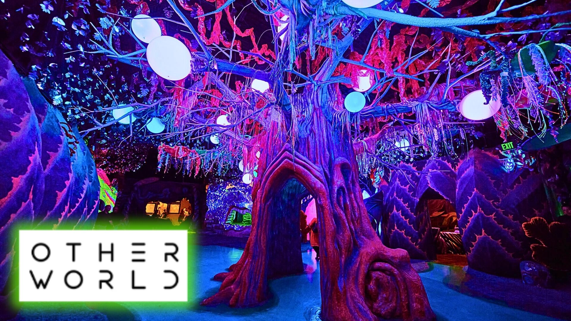 Our Vlog at Other World in Columbus, Ohio – 2023