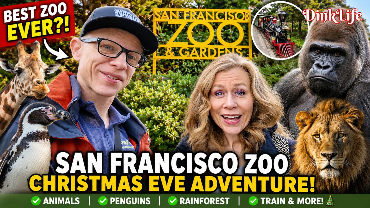 We Spent Christmas Eve at the San Francisco Zoo and Were Completely Shocked